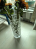 吕姆克花瓶插花瓶玻璃花瓶客厅茶几玄关摆件鲜花干花假花仿真花容器5639 实拍图