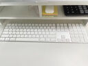 Apple/苹果 妙控键盘-中文 (拼音) 轻薄苹果键盘蓝牙键盘无线键盘办公键盘 实拍图