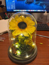 Para Ella向日葵永生花高级生日礼物女伴手礼品元旦新年年会跨年结婚纪念日 实拍图