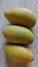京鲜生新鲜玉芒  净重4.5斤 单果200g＋ 新鲜芒果 源头直发包邮 实拍图