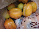 京逸顺丰北京特大磨盘柿子10斤新鲜软柿子盆柿冻柿脆柿房山大柿子水果 10斤特大果【单果约6-7两】 实拍图