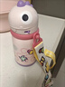babycare儿童保温杯婴儿宝宝学饮杯吸管水杯水壶不锈钢450ml-新老款随机发 实拍图