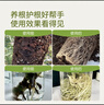 史丹利快速生根粉植物通用树木移栽强力扦插专用100g 实拍图