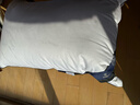康尔馨枕芯 希尔顿100s五星级酒店羽绒枕A类95%白鹅绒枕头 单只 74*48cm 实拍图