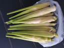 【现采现发】新鲜茭白时令蔬菜带壳茭白高笋应季美食农家自种包邮 现采带壳茭白2.6-3斤 净重 实拍图