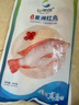 仙泉湖三去星洲红1斤单条净膛后冷冻罗非鱼刺少海鲜水产生鲜食材 实拍图
