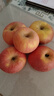 京鲜生 烟台红富士苹果 净重5斤  单果190g起 水果礼盒 实拍图