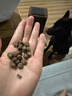 LEGENDSANDY蓝氏狗粮真鲜乳鸽中小型犬泰迪比熊生骨肉冻干鲜肉犬粮4.5kg9斤 实拍图