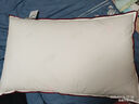 水星家纺枕头枕芯酒店枕头护颈枕头芯家用一对纯棉抗菌可水洗中枕48x74cm 实拍图