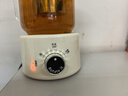 乐炖 养生壶迷你养生杯电炖杯办公室煮茶壶煮茶器小型一人花茶壶烧水壶电煮茶杯加热杯垫炖煮壶一体 0.6L 机械款+茶漏（玻璃盖） 采购10台以上可联系客服换礼盒装 实拍图