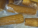 十月稻田 黄甜糯玉米 8根 3.52斤 真空包装 东北粘玉米棒 低脂早餐 实拍图