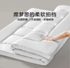 LOVO罗莱 五星级酒店床垫 A类床褥子软垫子垫被家用榻榻米1.5x2米 实拍图