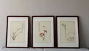 澜鹰  新中式客厅装饰画张大千三联挂画卧室沙发背景墙壁画郎世宁国画 张大千兰花三联 40*60cm 实拍图