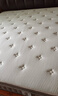 龙凤床垫家用卧室乳胶分区独立弹簧席梦思1.8x2米记忆棉环保椰棕护脊床垫 净享B型23cm：正面硬 1800*2000 实拍图