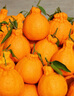 正宗四川不知火丑橘新鲜整箱水果应当季粑粑丑八怪柑橘耙耙桔子 精品果 【70-80mm】性价比 5斤 实拍图