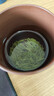 文新绿茶2025新茶好茶好喝信阳毛尖特级200g明前罐装 实拍图