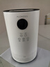 欧朗德斯欧朗德斯除甲醛空气净化新家装修去甲醛除味超氧机除醛仪等离子C2 C2 实拍图