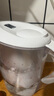 碧然德（BRITA）家用净水壶 滤水壶滤芯 MAXTRA+LE 去水垢专家滤芯 6枚装 实拍图