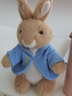 比得兔（Peter Rabbit）玩偶公仔抱枕彼得兔毛绒玩具公仔兔子玩偶婴儿玩具比得兔生日礼物 比得兔25cm 25*18*16 实拍图