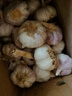 京鲜生河南杞县大蒜带皮新鲜干蒜净重3斤单果5.5-6cm 源头直发包邮 实拍图