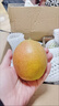 京地达新疆库尔勒香梨子水果净重4.5斤单果100g+源头直发包邮 实拍图