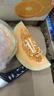 北纬23°西州蜜瓜约1.3kg 实拍图