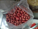 柴火大院 杂粮花生1kg 去壳红皮花生米2斤颗粒均匀饱满无碎皮不染色 团购 1kg*1袋 实拍图