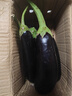 山东农家绿把紫皮长茄现摘现发新鲜嫩茄蔬菜生鲜 现摘新鲜茄子 2斤 净重 实拍图