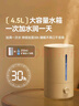 京东京造加湿器空气净化器一体 卧室家用办公室桌面 4.5L大容量 小型立式低噪 迷你雾化器 银离子材料 实拍图