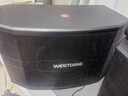 威斯汀音响家庭ktv唱歌全套设备 卡拉ok点歌机语音点唱 客厅大功率10吋四分频音箱套装118一体机国家补贴 实拍图