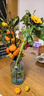 【向日葵】生日礼物鲜切花云南基地直发新鲜太阳花鲜花毕业花束 向日葵3枝 中大花 中大花向日葵 实拍图