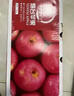 京鲜生 烟台红富士苹果 净重5斤  单果190g起 水果礼盒 实拍图
