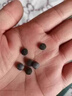 丽天承南京同仁堂甘草压片糖果搭正品甘草含片干草片老牌子成人男女含服 实拍图