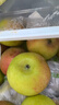 密水农家新鲜采摘国光小苹果 山区自种苹果 酸甜 国光苹果4斤 实拍图