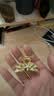奢蔻（Cercoo）花卉图谱系列小号抓夹发夹后脑勺复古鲨鱼夹子气质发抓头饰 实拍图