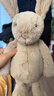 Jellycat害羞乳白色邦尼兔动物毛绒玩偶安抚玩偶娃娃新年生日礼物 害羞米色邦尼兔 Medium 实拍图