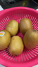佳沛（zespri）新西兰 阳光金奇异果12粒礼盒特大果单果约122-146g 猕猴桃 水果 实拍图
