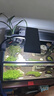 尼奥光鱼缸灯水草灯LED灯S3proRGB植物光谱 【二代】13W新款尼奥S3pro+【高亮自然】 实拍图