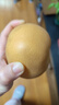 颜曼箐秋月梨 山东莱阳羊脂秋月梨新鲜孕妇水果丰水冰糖梨 5斤装甄选果 约7-12枚 净4.5斤 实拍图