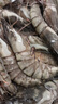 GUO LIAN国联 黑虎虾超大规格斑节虾无冰净重2斤 16-20只高虾青素虾类海鲜 实拍图