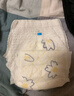 京东京造婴儿拉拉裤尿不湿纸尿裤Cloud云柔XXXXL38片(20kg以上)超薄透气 实拍图