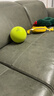 babycare&bctoys儿童球拍拍球儿童无声弹力训练小皮球玩具绿色 实拍图