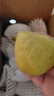 京鲜生 新疆库尔勒香梨 净重5斤 一级 单果100g-120g  生鲜水果 实拍图