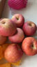 甜醉了 烟台苹果栖霞红富士新鲜水果生鲜山东特产脆甜整箱平果礼盒礼品 18枚单果75-80mm(净重约8斤) 实拍图
