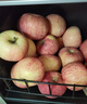 京地达洛川苹果水果陕西红富士节日送礼净重8.5斤单果85mm+源头直发包邮 实拍图