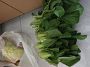 京鲜生 上海青 新鲜小油菜 600g 简装 新鲜蔬菜 实拍图