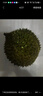 趣尝鲜猫山王榴莲马来西亚D197液氮冷冻净重3.0-3.5斤/个 实拍图