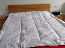 京东京造多赛特羊毛床褥床垫 澳洲进口羊毛褥子 国标A类抗菌防螨 1.8x2米 实拍图