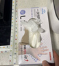 英科医疗（INTCO）一次性手套PVC100只中码12英寸加长食品级餐饮厨房防水家务清洁 实拍图
