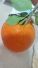 新奇士（Sunkist） 澳洲黑标晚熟脐橙 8斤礼盒装  单果220g起 新鲜水果礼盒 实拍图